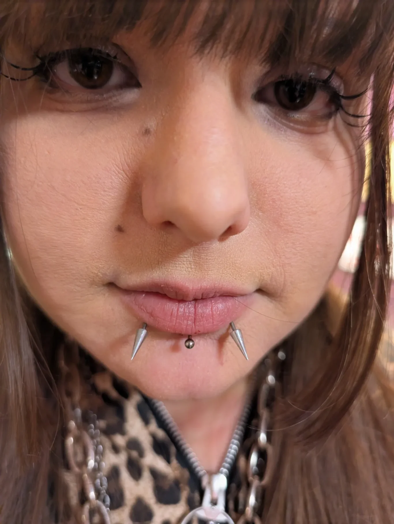 Snake Bite Piercings and Labret Lip Piercing
