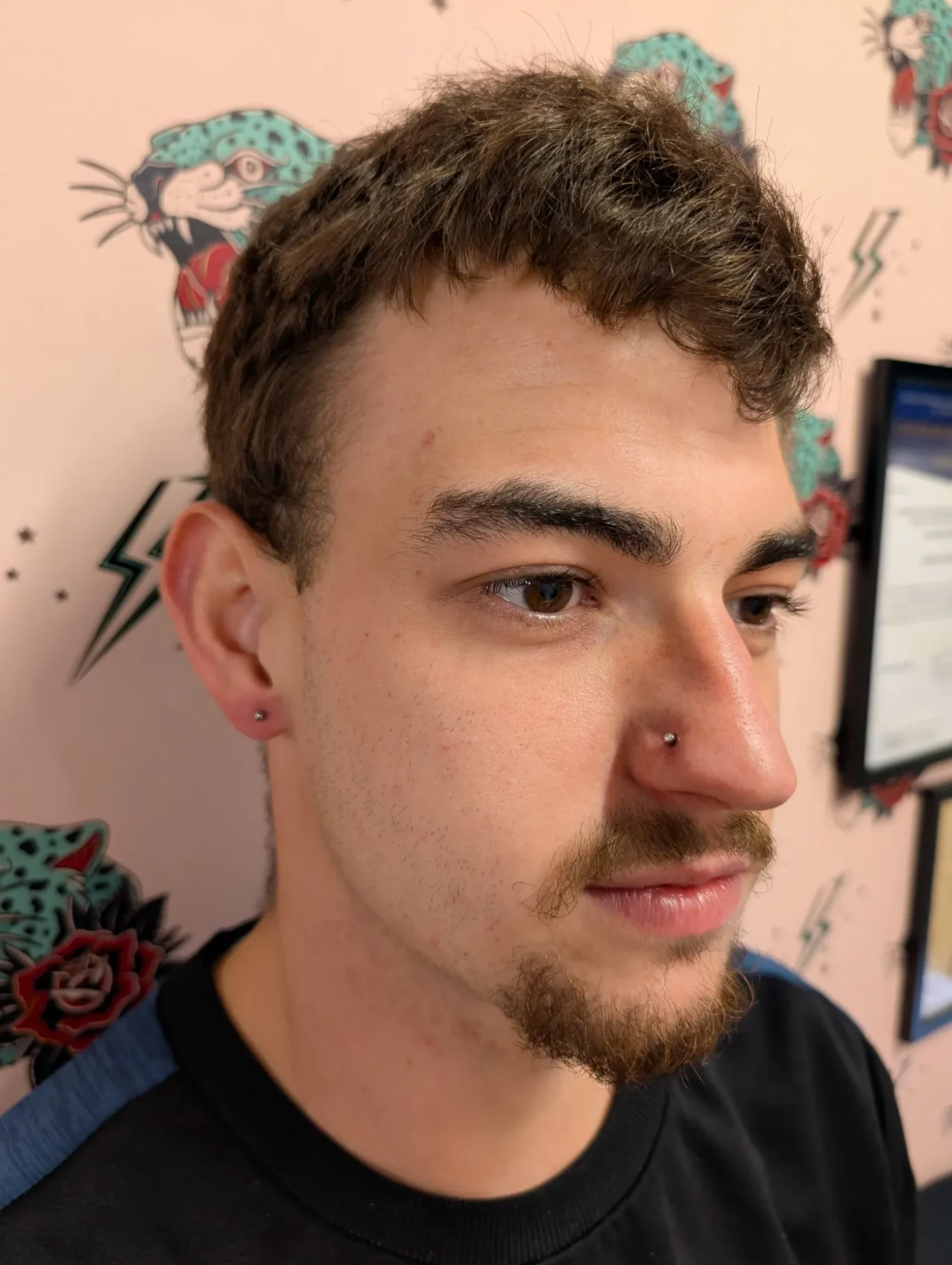 Nostril piercing / Nose piercing