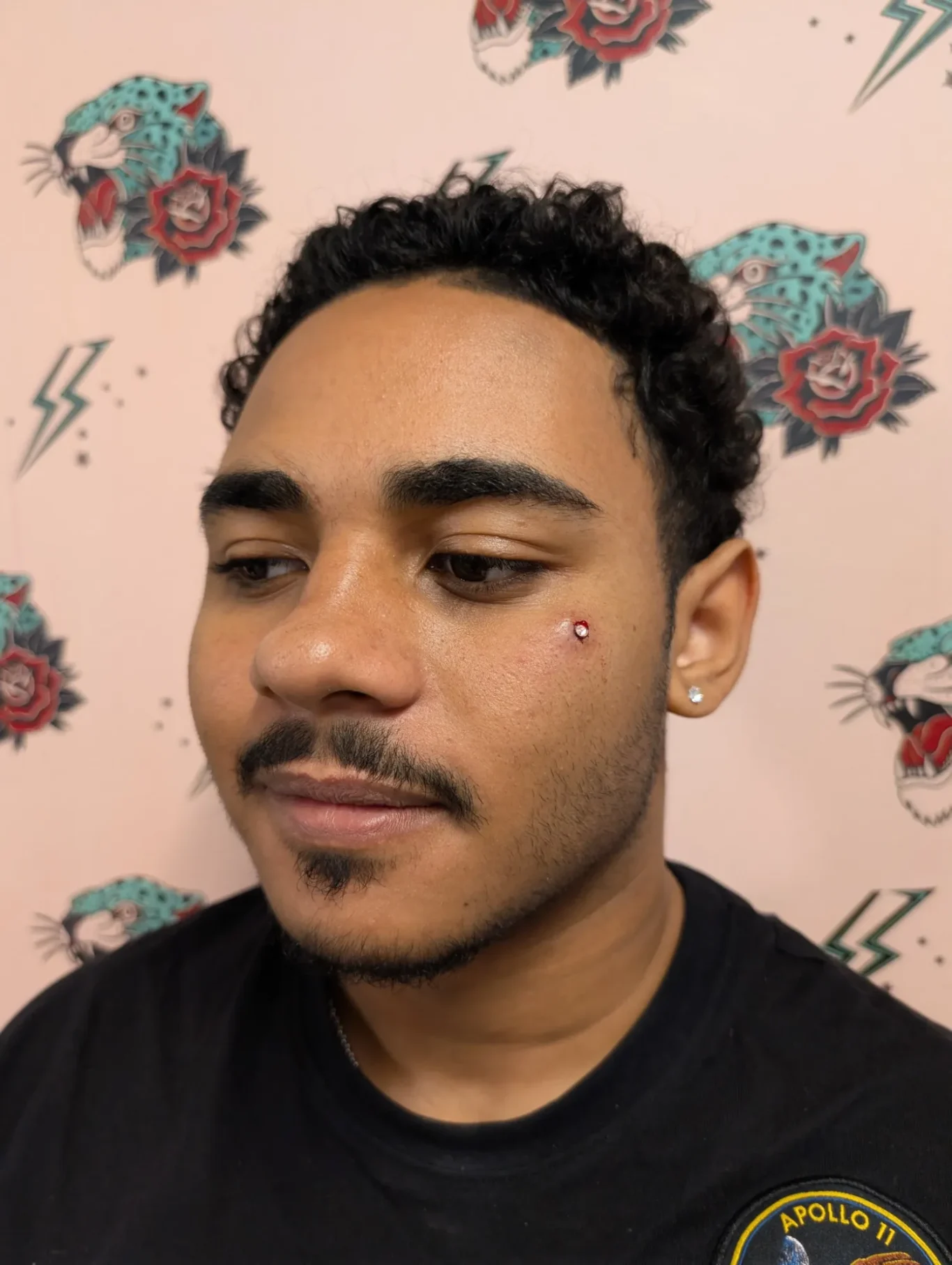 Facial Microdermal piercings