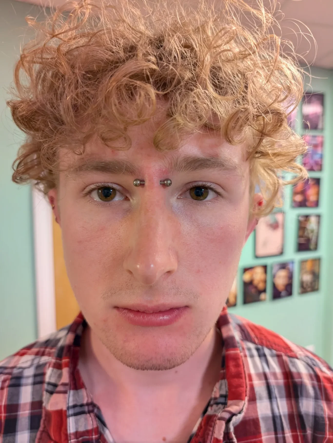 Nose Bridge Piercing