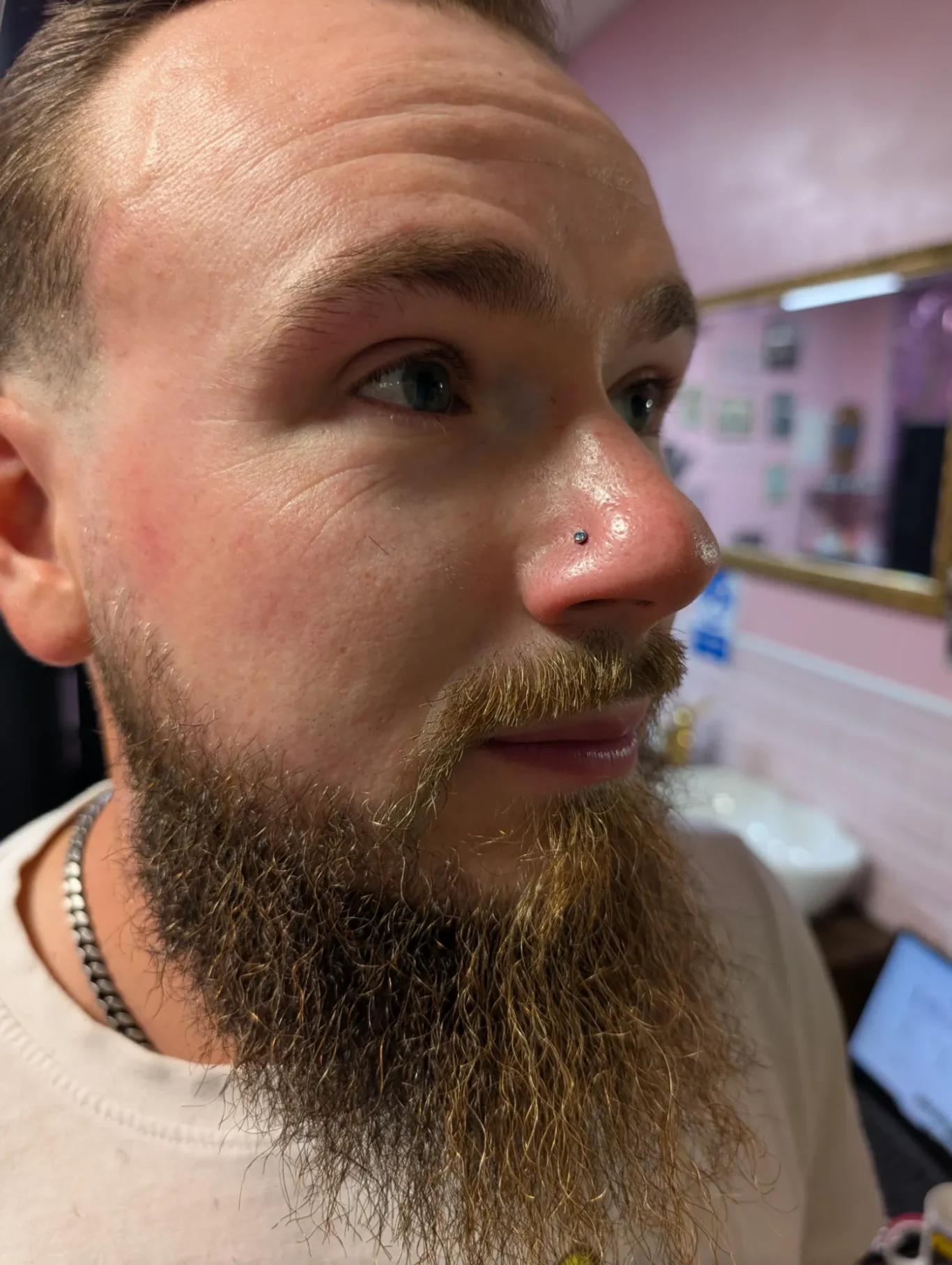 Nostril piercing / Nose piercing