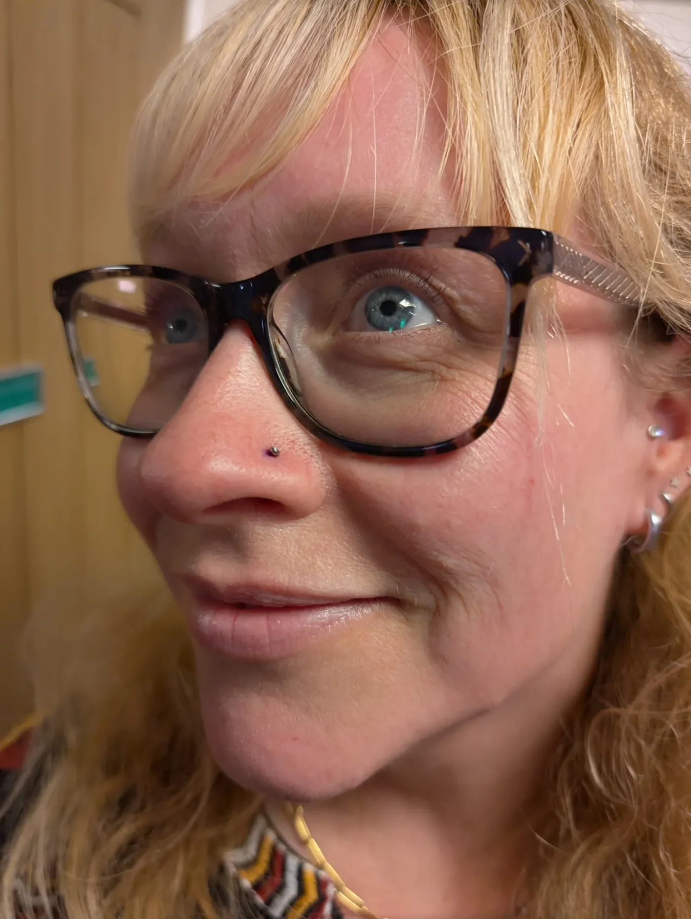 Nostril piercing / Nose piercing
